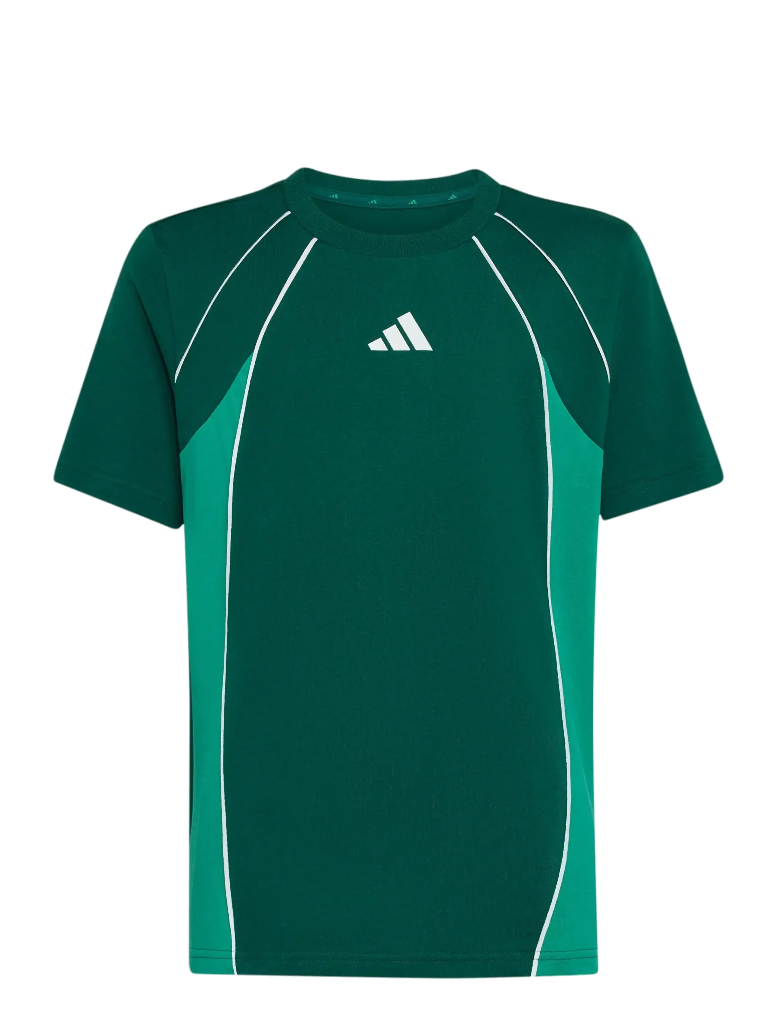 adidas Sportswear J  CB T - Overdele - CGREEN/COUGRN/WHITE / green
