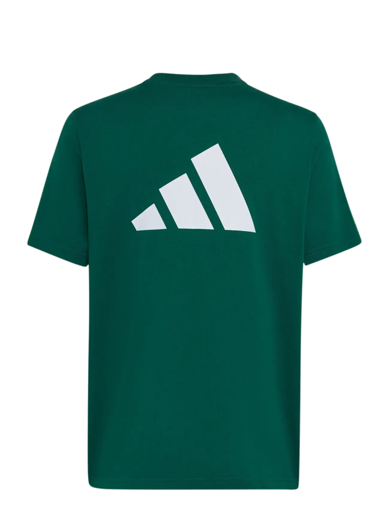 adidas Sportswear - J  CB T - sportstoppe - cgreen/cougrn/white - 1