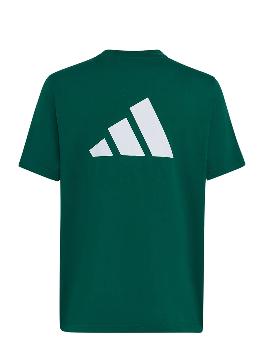 adidas Sportswear - J CB T - sportstoppe - cgreen/cougrn/white - 1