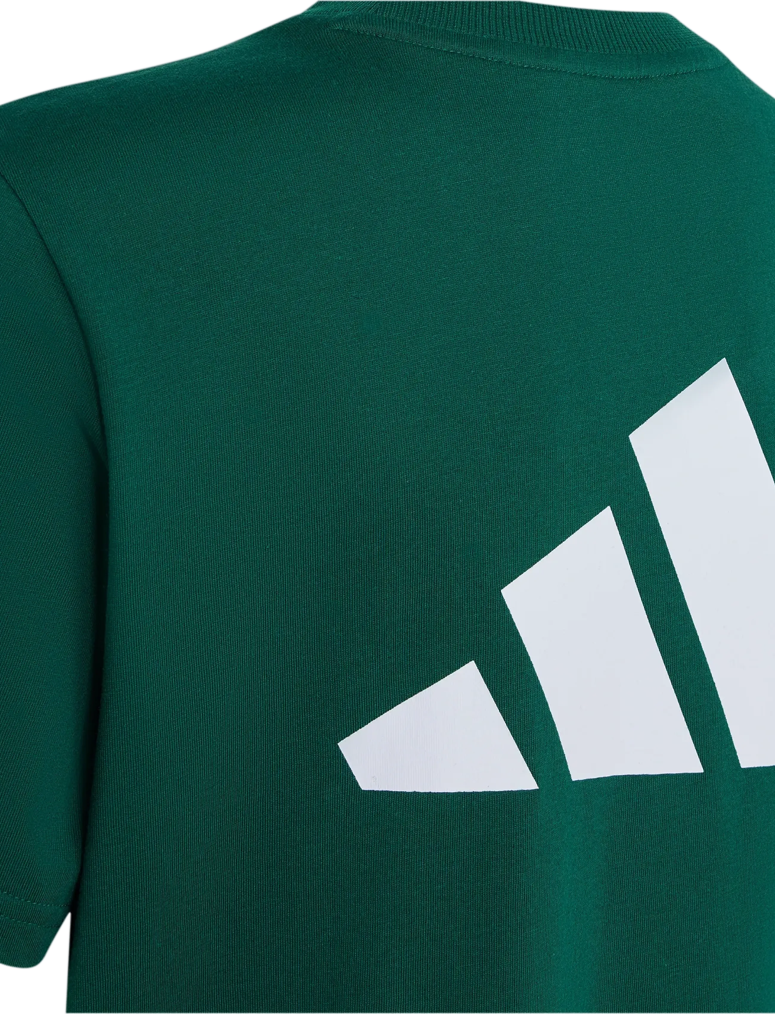 adidas Sportswear - J  CB T - sportstoppe - cgreen/cougrn/white - 3