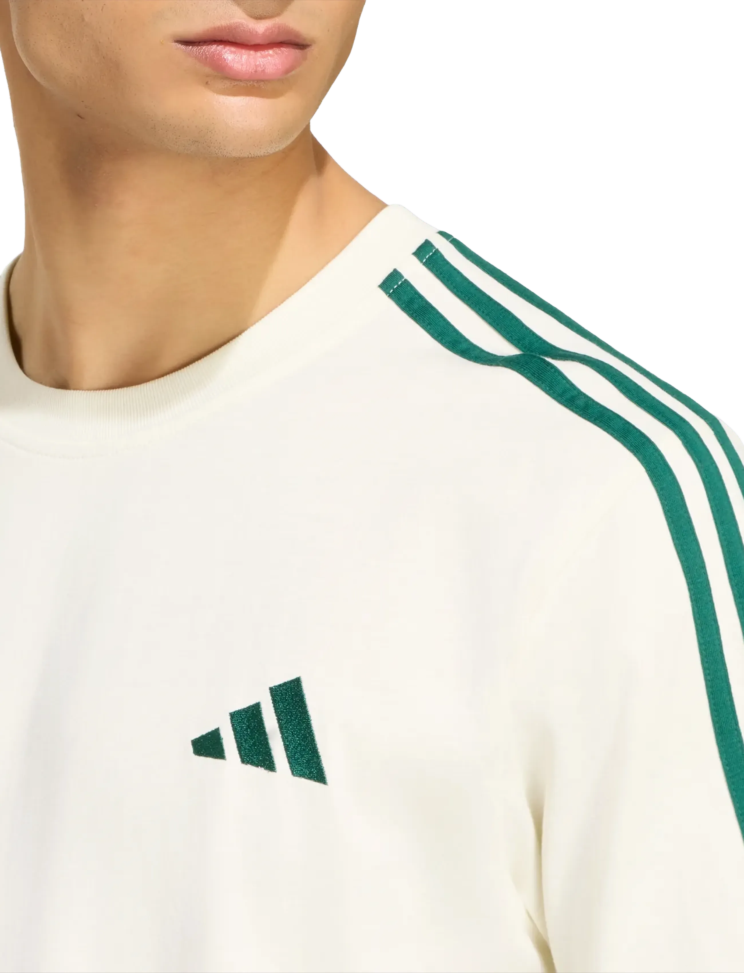 adidas Sportswear - M 3S SJ LC T - oberteile & t-shirts - ivory/cgreen - 4