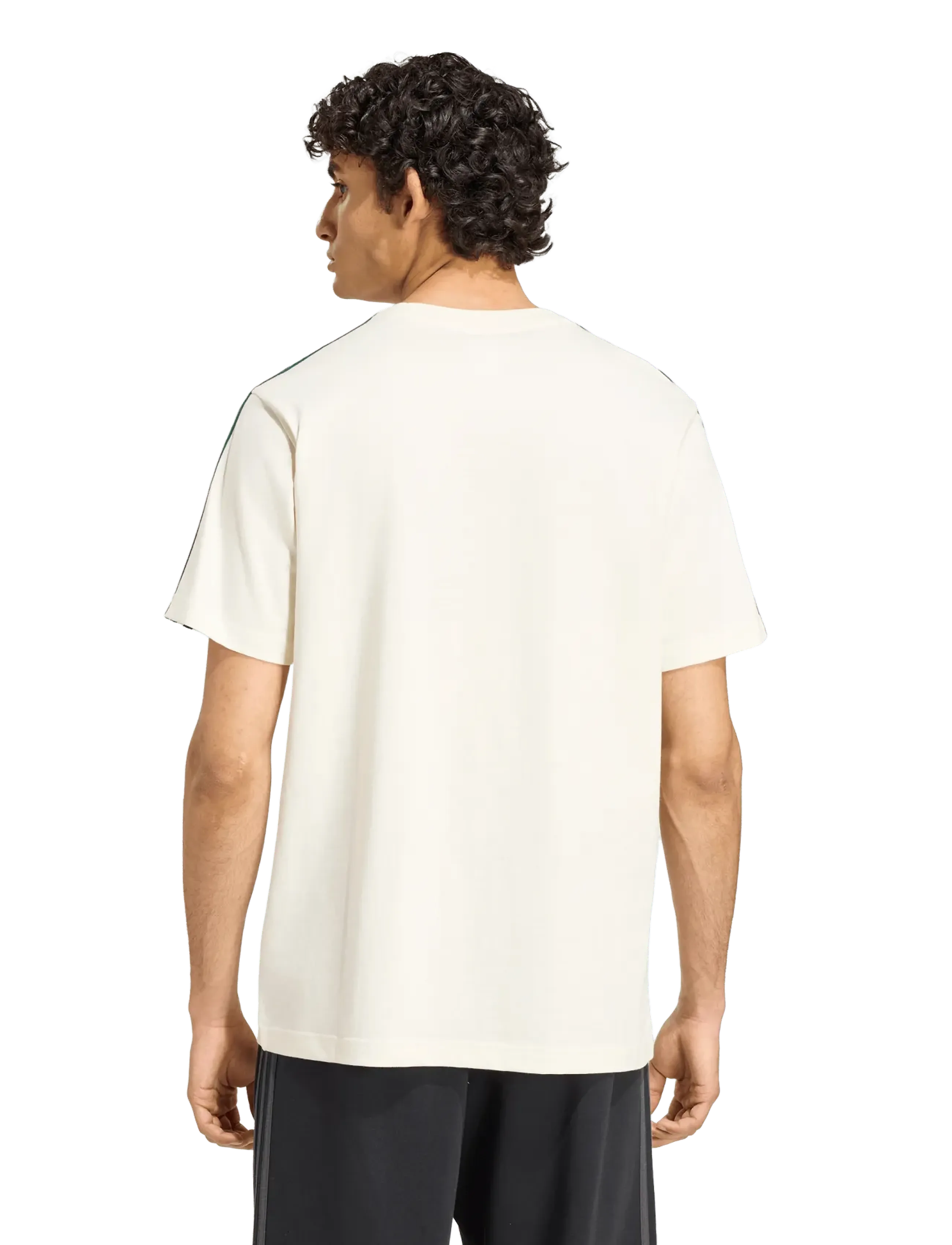 adidas Sportswear - M 3S SJ LC T - oberteile & t-shirts - ivory/cgreen - 5