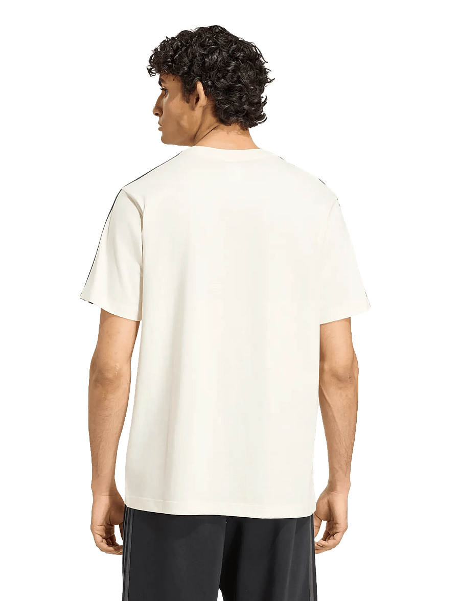 adidas Sportswear - M 3S SJ LC T - oberteile & t-shirts - ivory/cgreen - 5