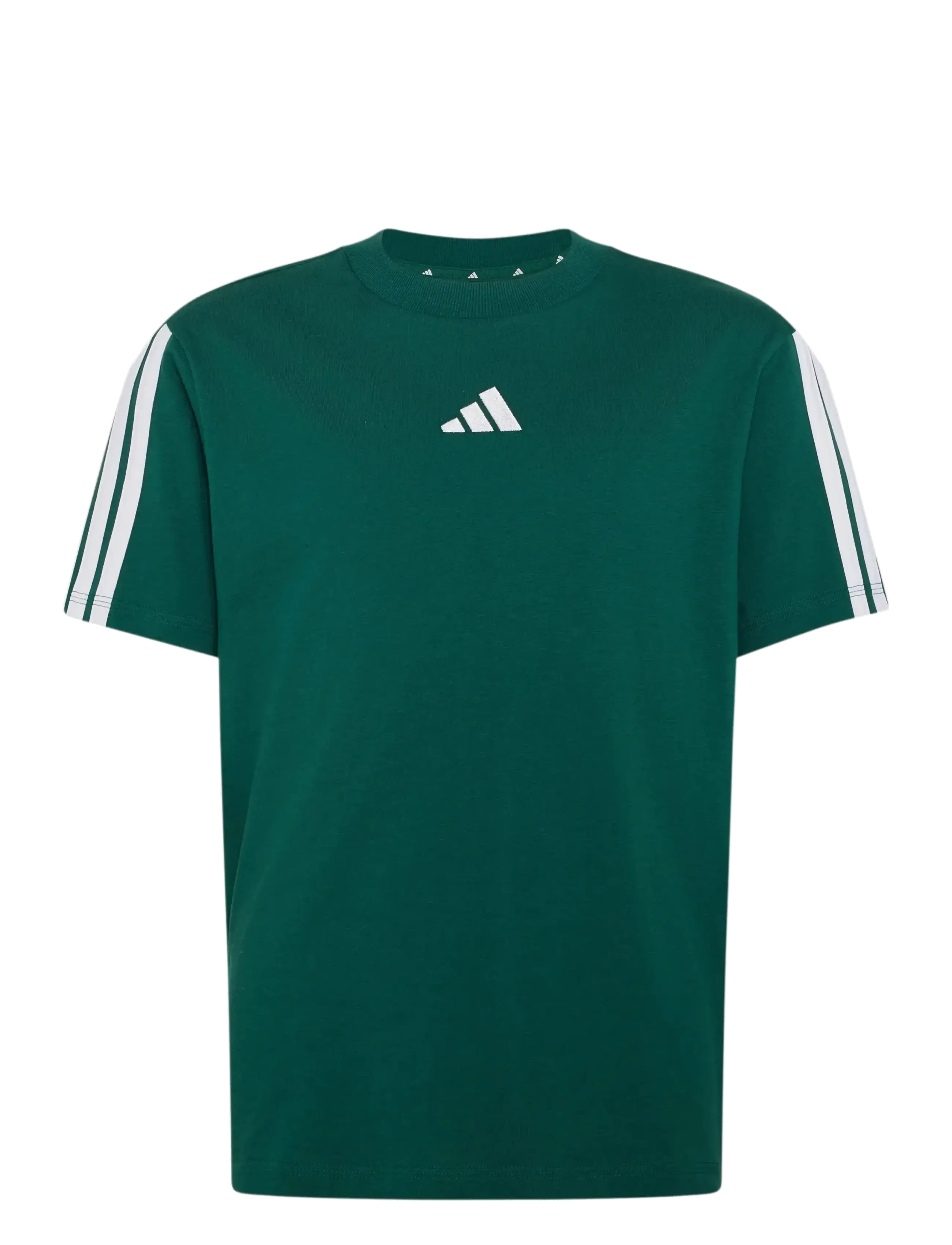 adidas Sportswear J 3S TEE 160 - adidas - CGREEN/WHITE / green