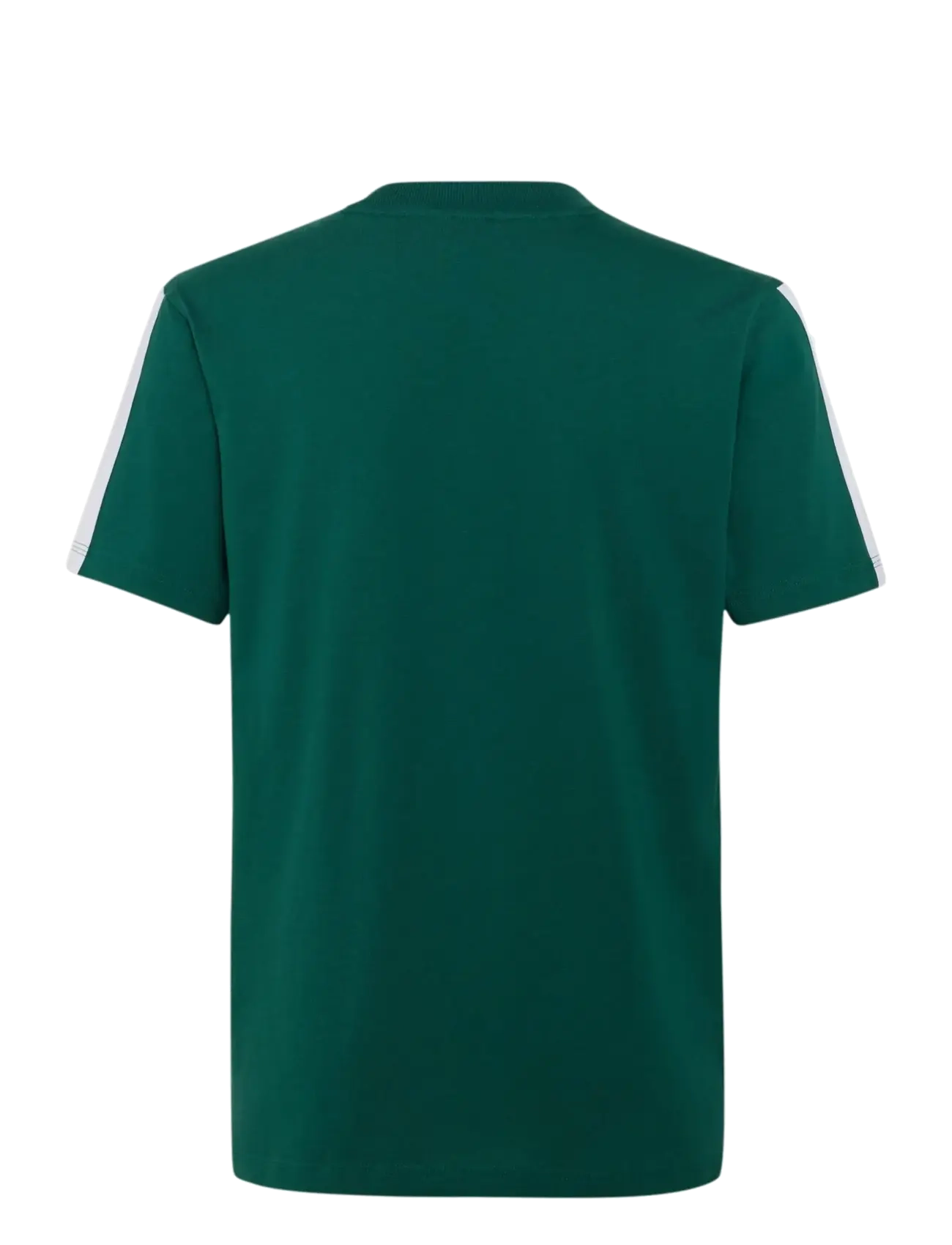 adidas Sportswear - J 3S TEE 160 - sportstoppe - cgreen/white - 1