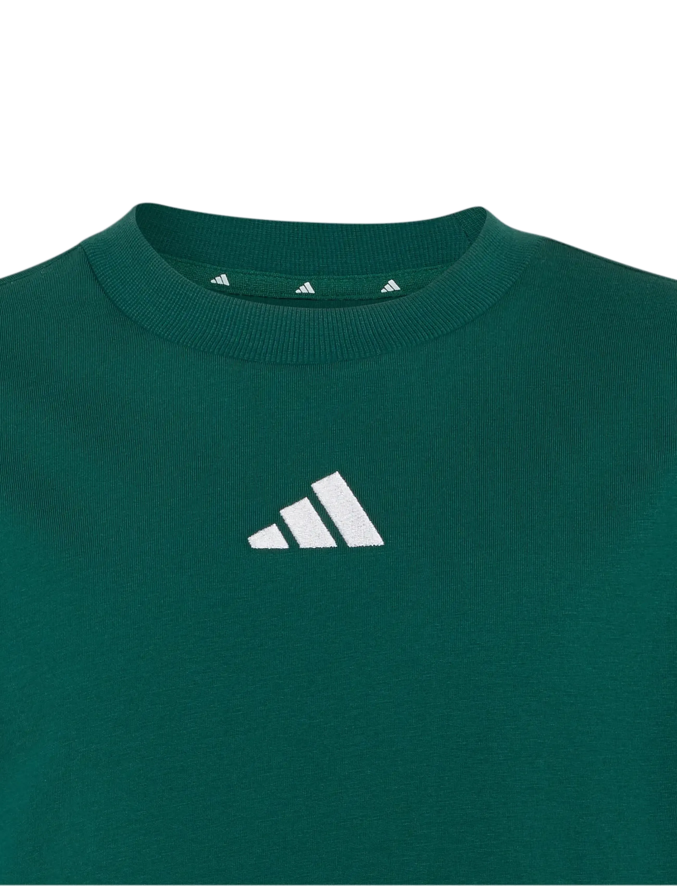 adidas Sportswear - J 3S TEE 160 - sportstoppe - cgreen/white - 2