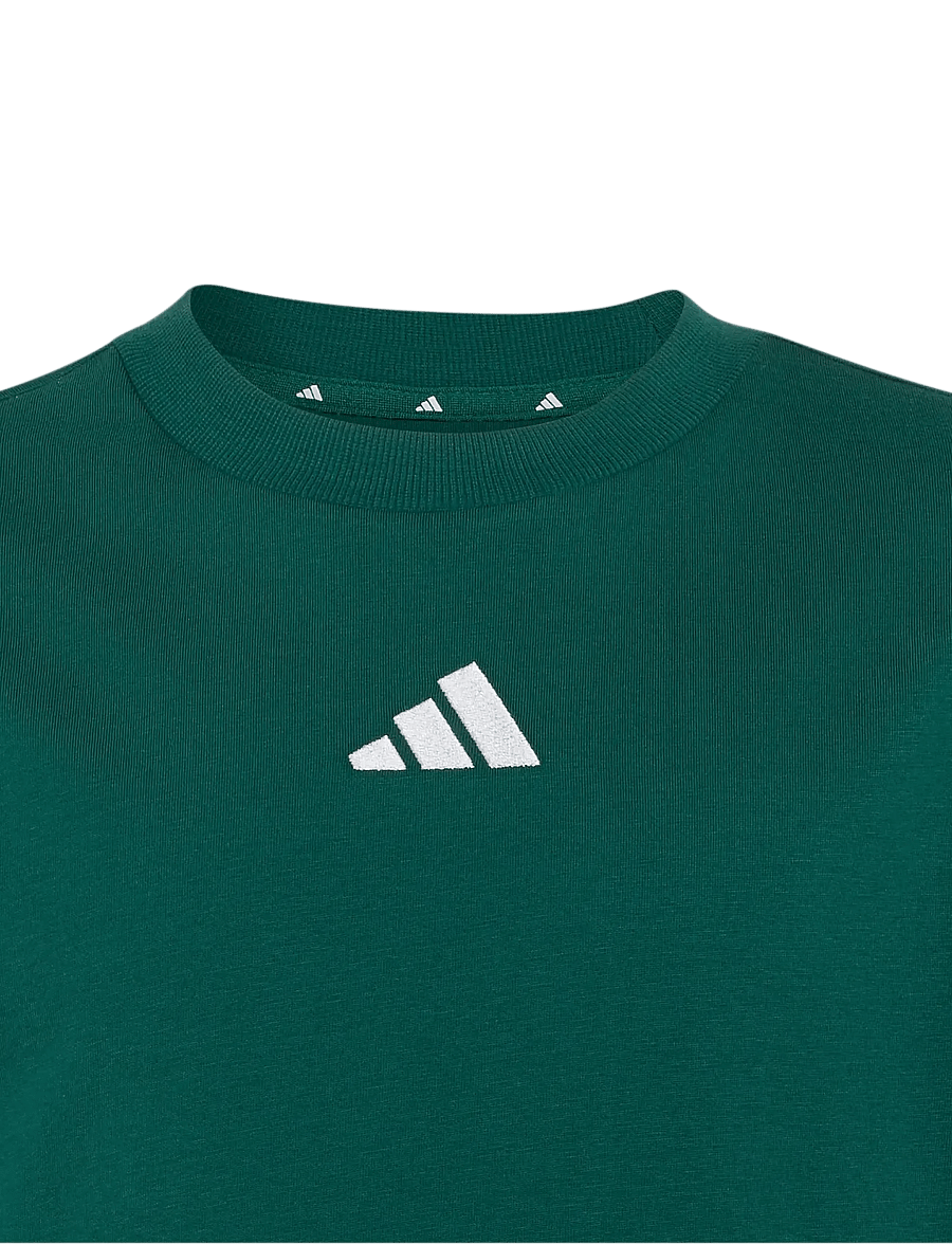 adidas Sportswear - J 3S TEE 160 - sportstoppe - cgreen/white - 2