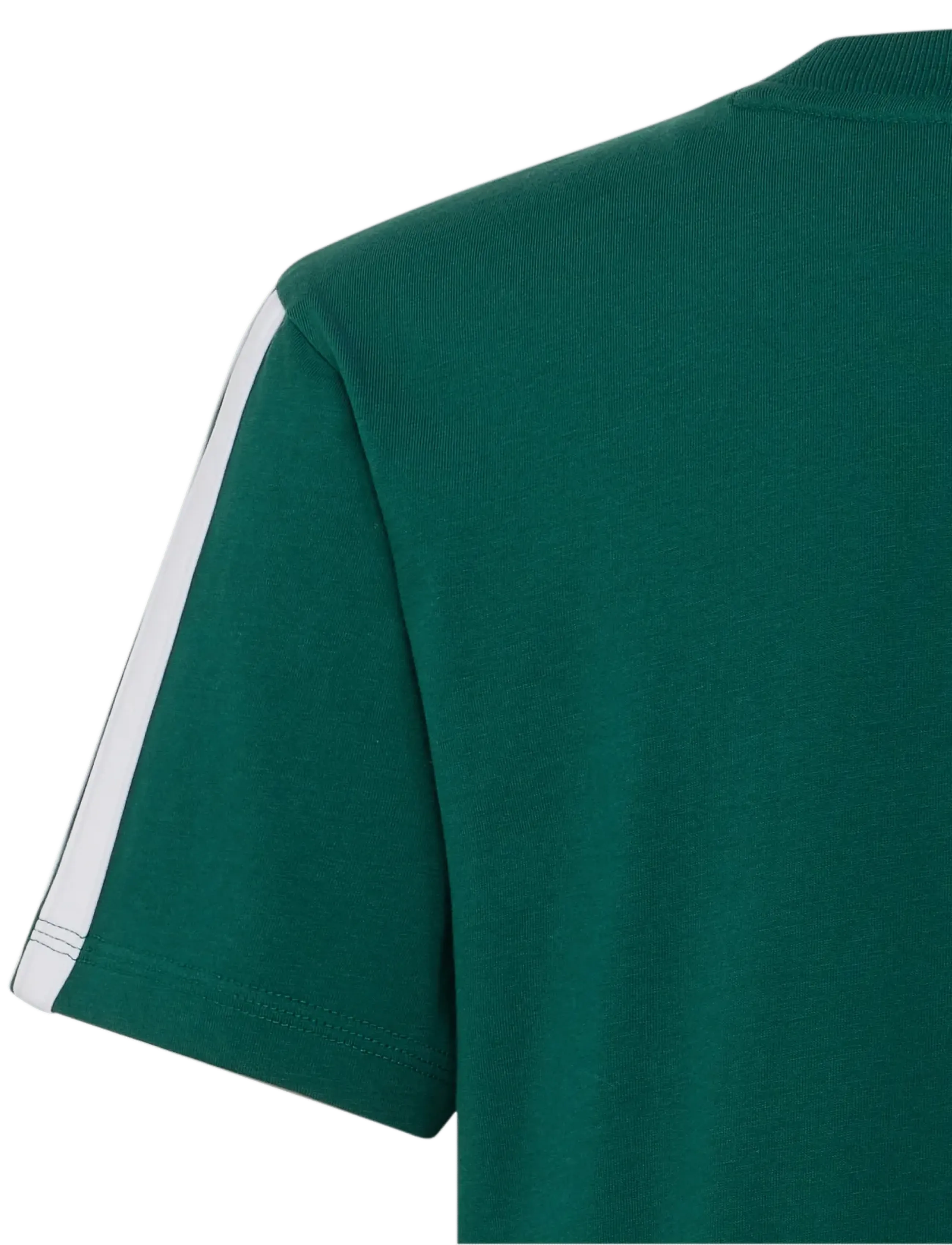 adidas Sportswear - J 3S TEE 160 - sportstoppe - cgreen/white - 4