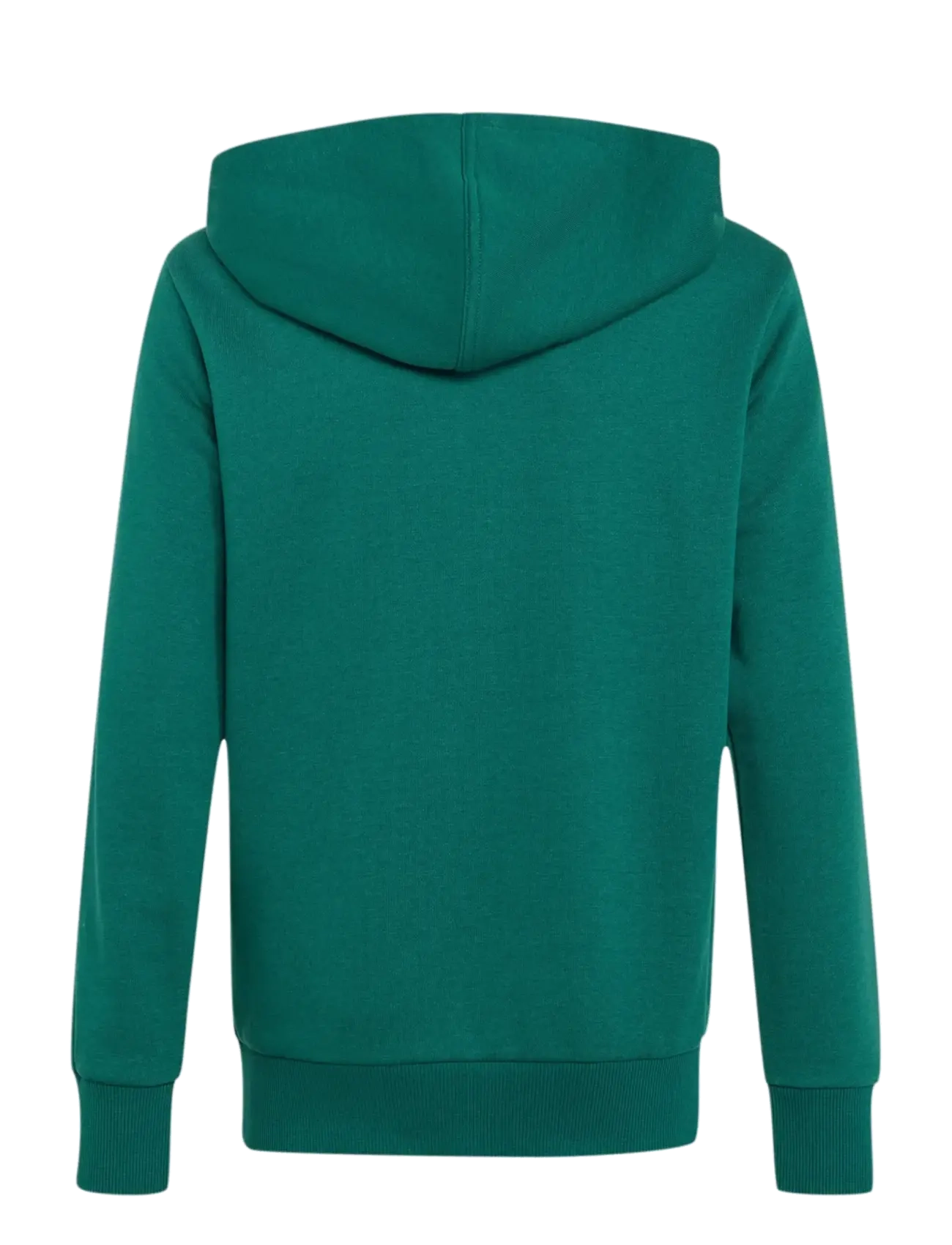adidas Sportswear - J BL FT HD 280 - hættetrøjer - cgreen/white/clemin/c - 1