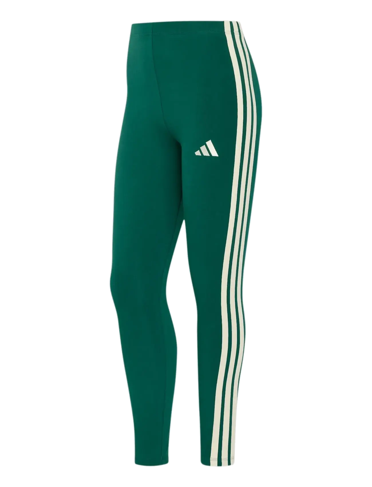 adidas Sportswear W 3S SJ LEG - adidas - CGREEN/IVORY / green