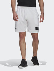 adidas Performance - CLUB 3-STRIPE SHORTS - training shorts - 000/white - 2