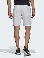 adidas Performance - CLUB 3-STRIPE SHORTS - training shorts - 000/white - 3