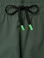 adidas Performance - ERGO SHORTS - training shorts - 000/green - 3