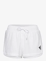 adidas Performance - CLUB SHORTS - sports shorts - 000/white - 0