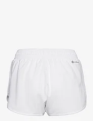 adidas Performance - CLUB SHORTS - sports shorts - 000/white - 1