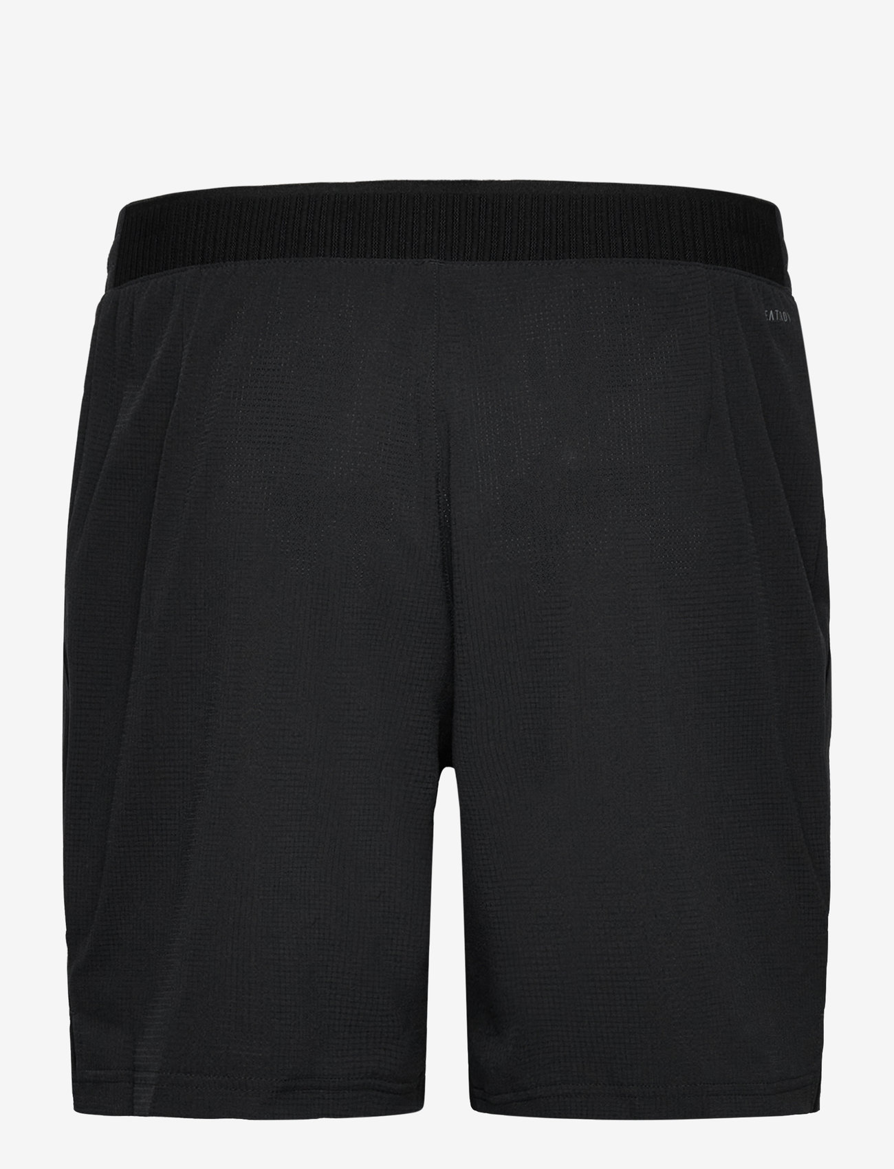 adidas Tennis - ERGO SHORTS - träningsshorts - 000/black - 1