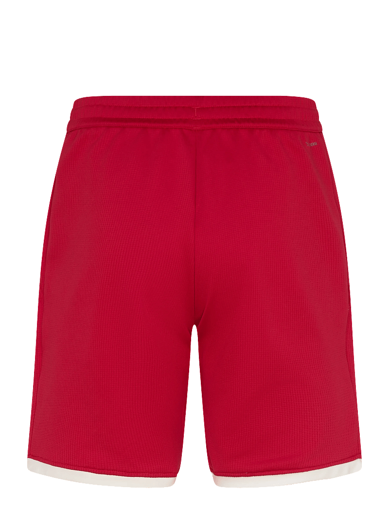 adidas Tennis - HERITAGE SHORT - lühikesed treeningpüksid - red - 1