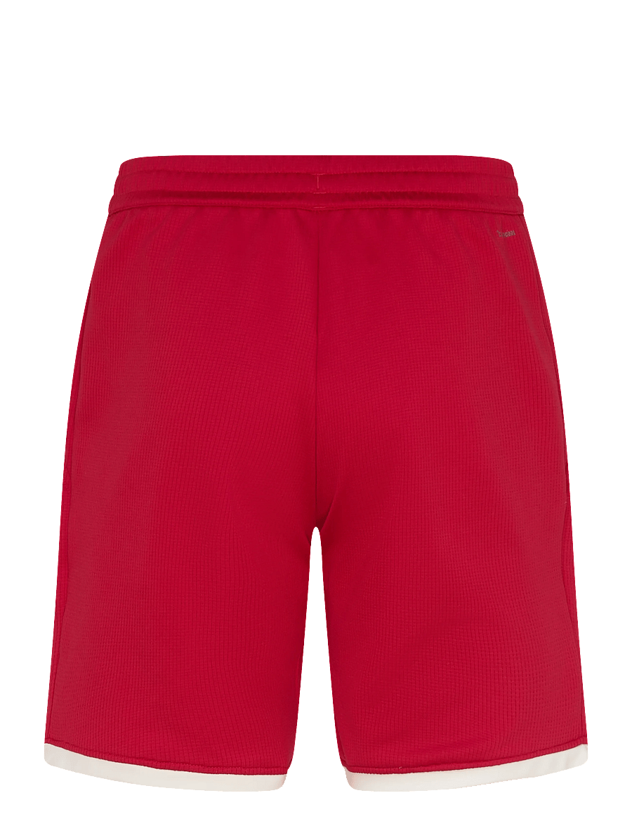 adidas Tennis - HERITAGE SHORT - träningsshorts - red - 1