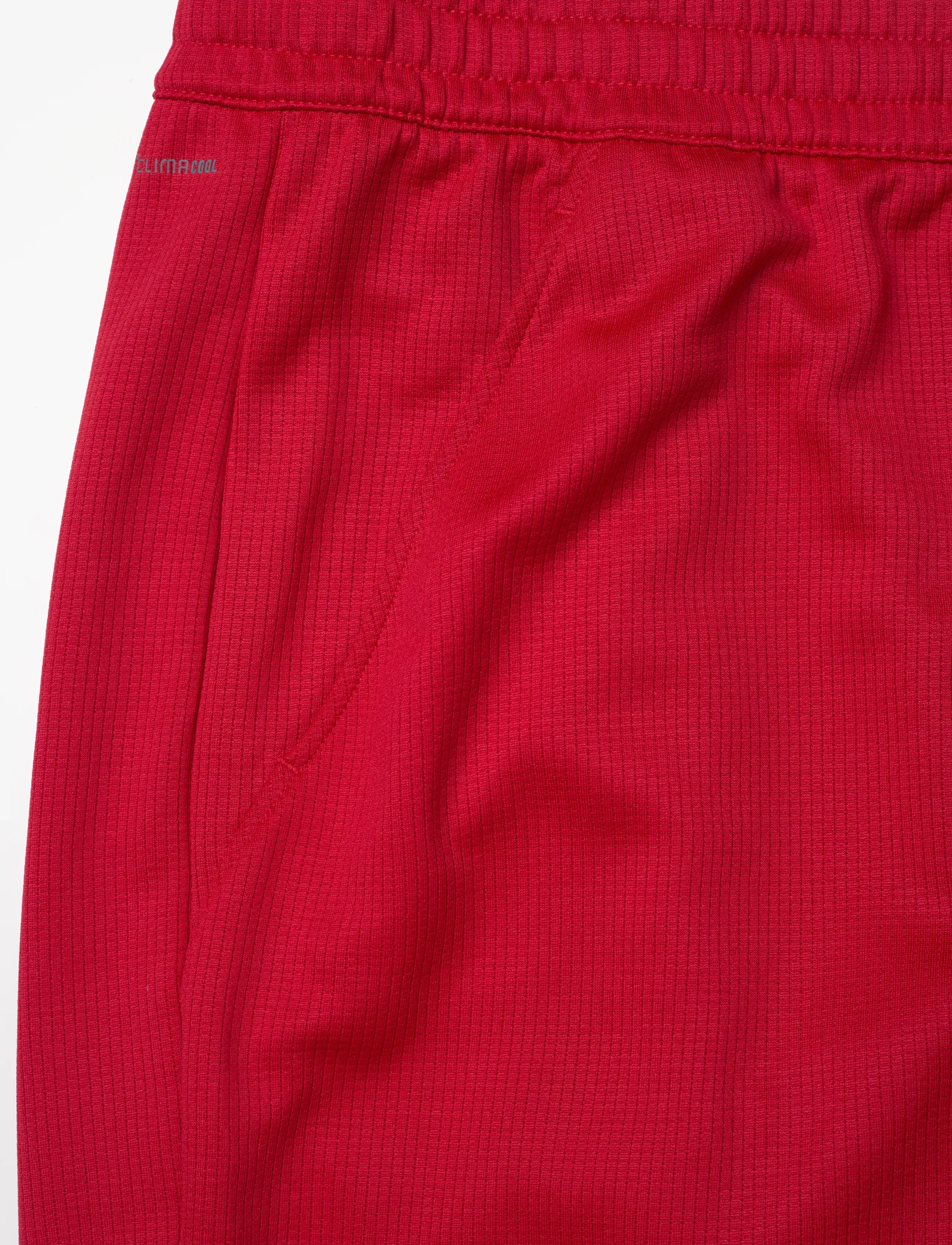 adidas Tennis - HERITAGE SHORT - training shorts - red - 2