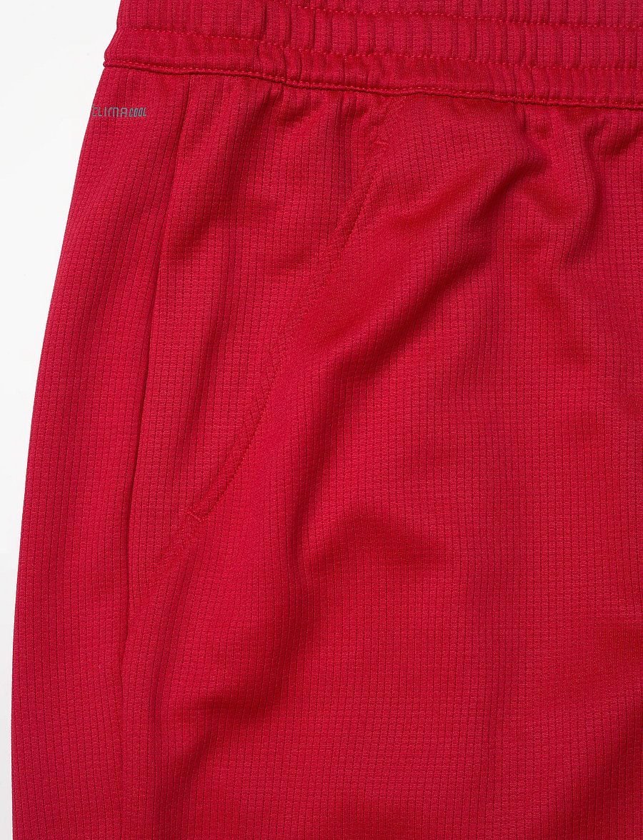 adidas Tennis - HERITAGE SHORT - träningsshorts - red - 2