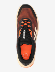 adidas Terrex - TERREX TRAILRIDER - running shoes - impora/ftwwht/cblack - 3