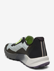 adidas Terrex - TERREX AGRAVIC FLOW 2 - buty do biegania - wonsil/crywht/luclem - 2
