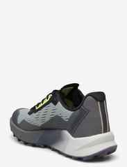 adidas Terrex - Terrex Agravic Flow 2.0 GORE-TEX Trail Running Shoes - matka- ja kõndimisjalatsid - wonsil/crywht/luclem - 2