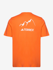 adidas Terrex - TX MTN 2.0 TEE - seimor - 1