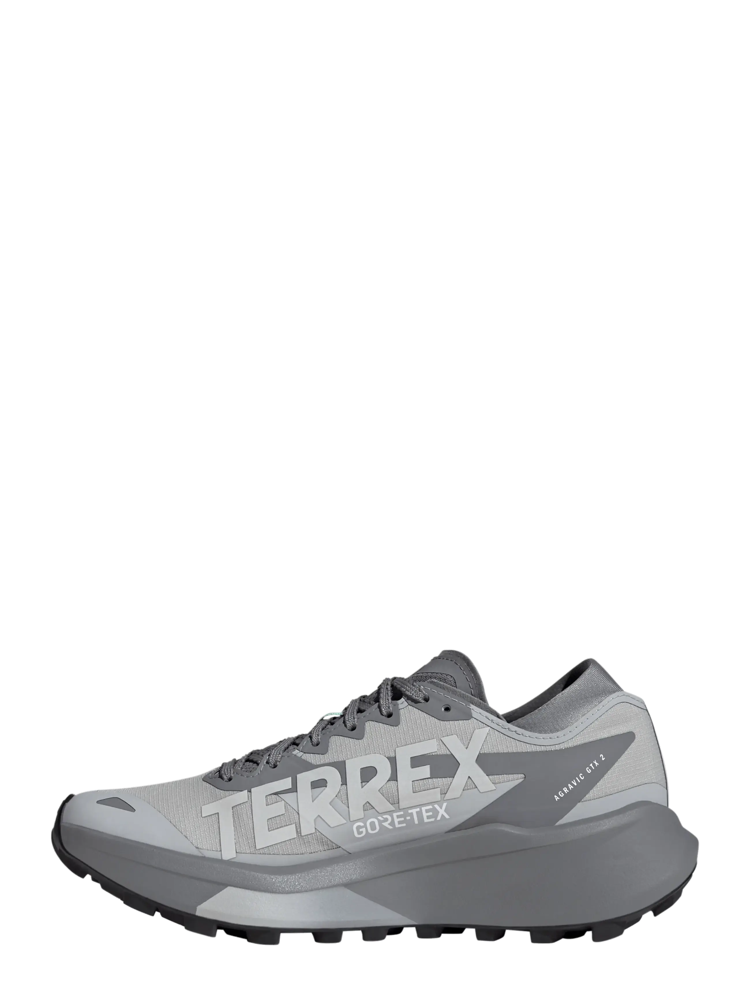 adidas Terrex - TERREX AGRAVIC GTX 2 W - gretwo/greone/pulmin - 2