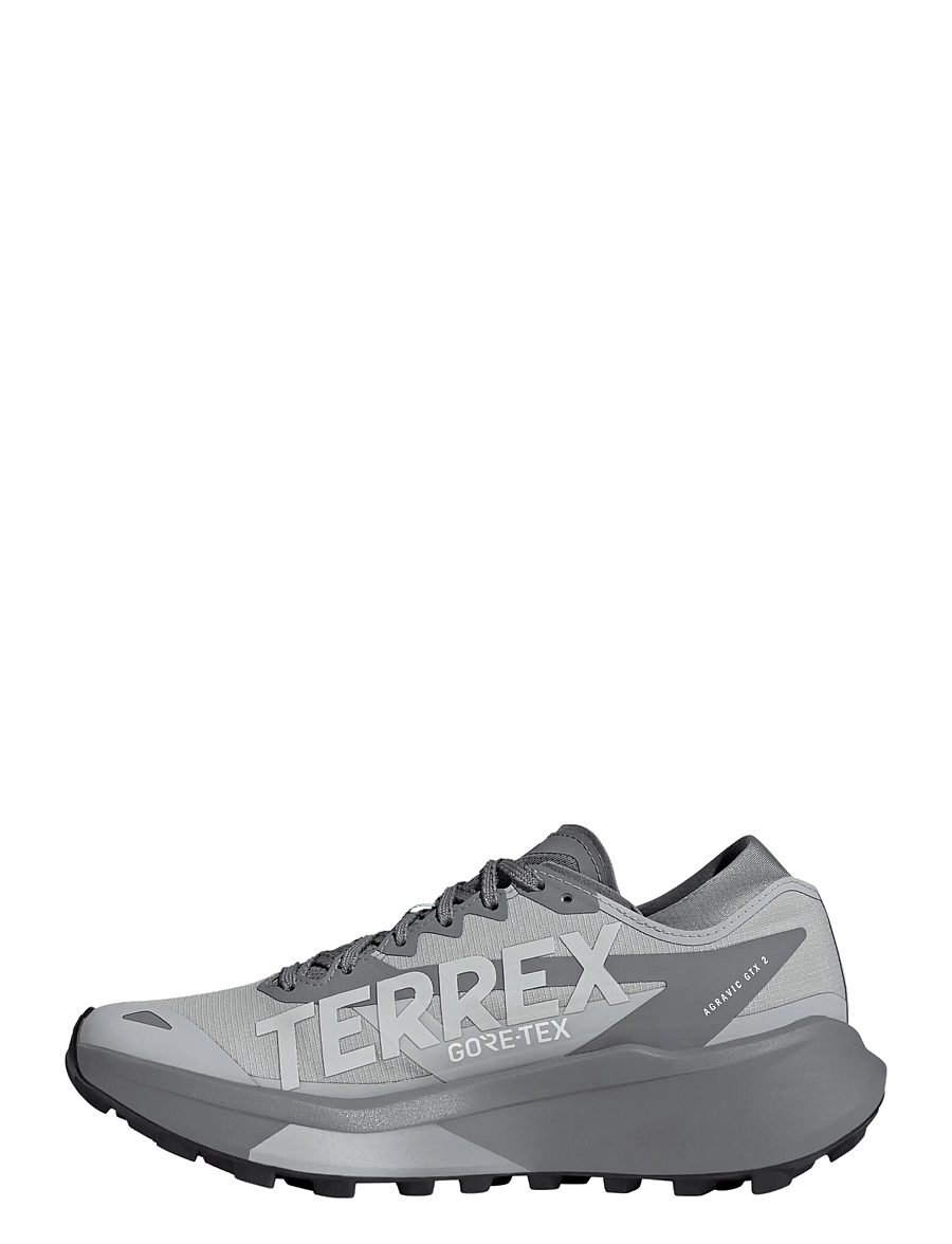 adidas Terrex - TERREX AGRAVIC GTX 2 W - hiking shoes - gretwo/greone/pulmin - 2