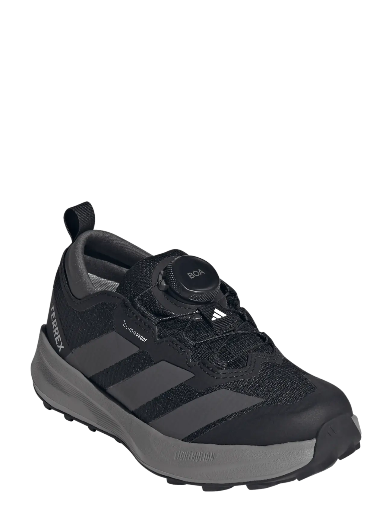 adidas Terrex TERREX AGRAVIC BOA CP K - Sportschuhe - CBLACK/GREFIV/GRETHR / black