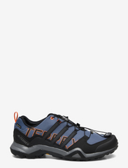 adidas Terrex - TERREX SWIFT R2 GTX - wonste/cblack/seimor - 1
