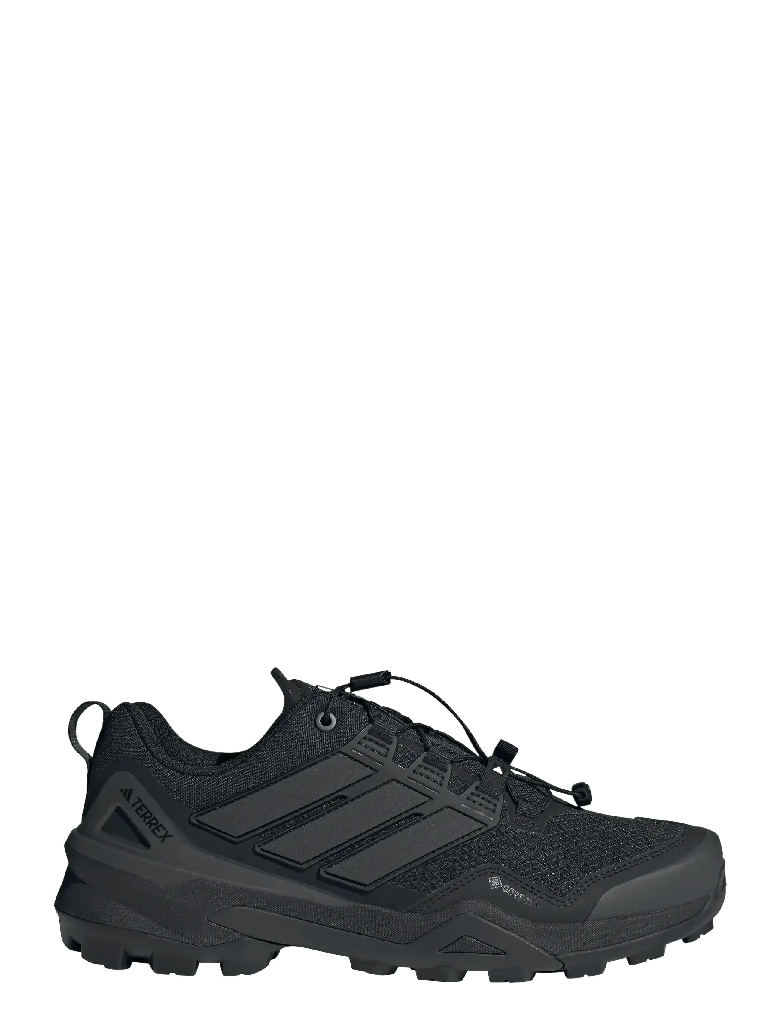 adidas Terrex - TERREX SKYCHASER GTX - vandringsskor - cblack/cblack/carbon - 1