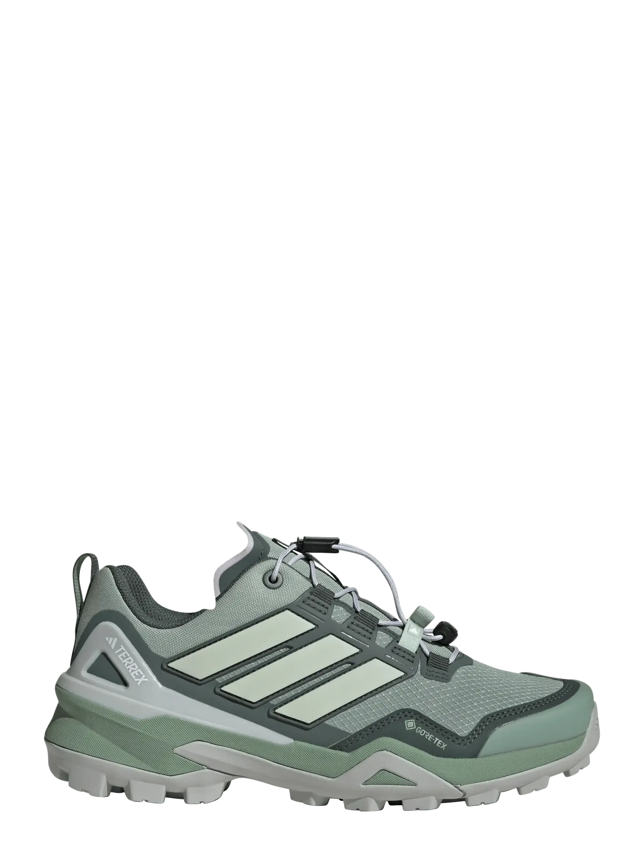 adidas Terrex - TERREX SKYCHASER GTX W - chaussures de randonnée - silgrn/lingrn/legivy - 1