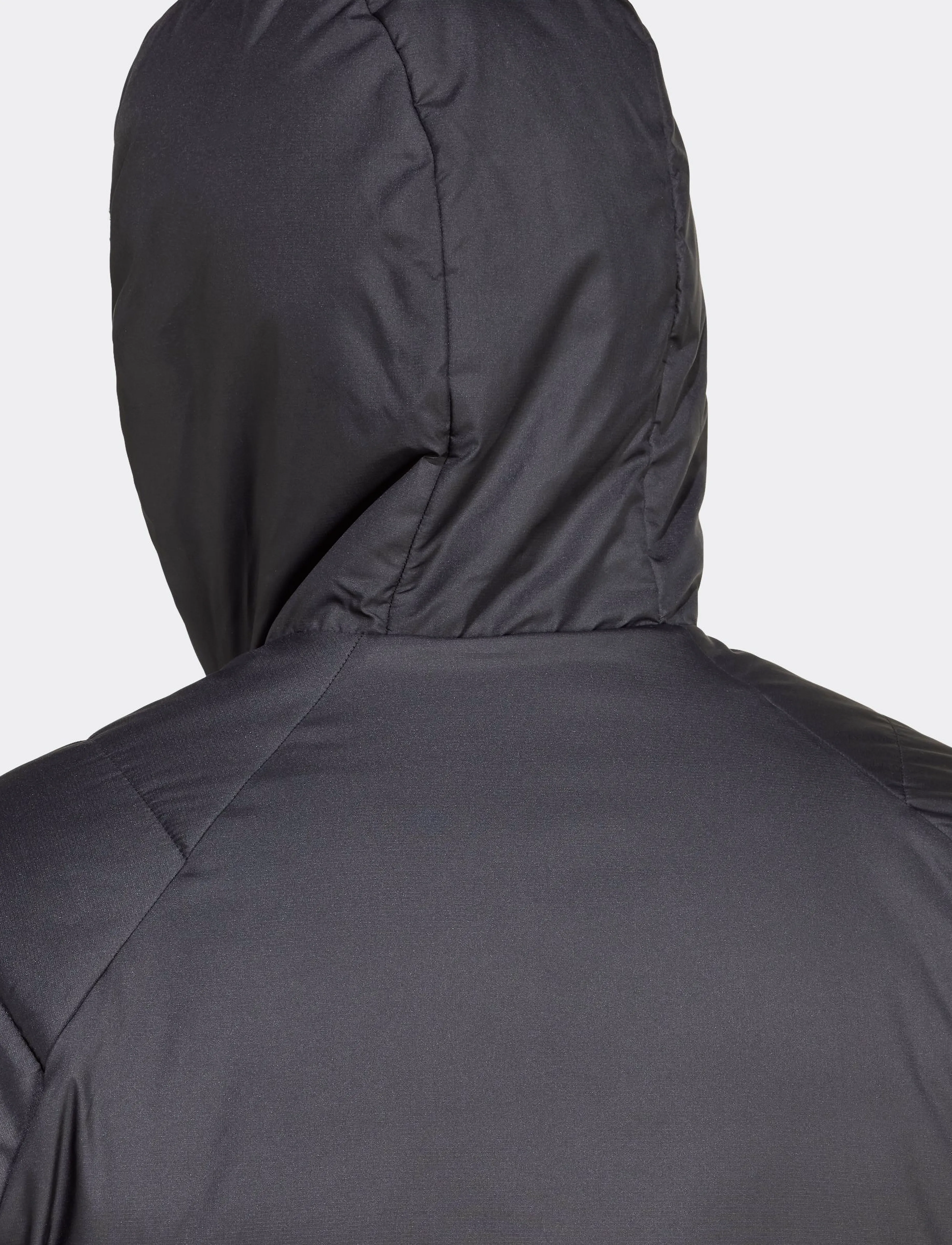 adidas Terrex MT INS HO JKT - Jacken - BLACK / black