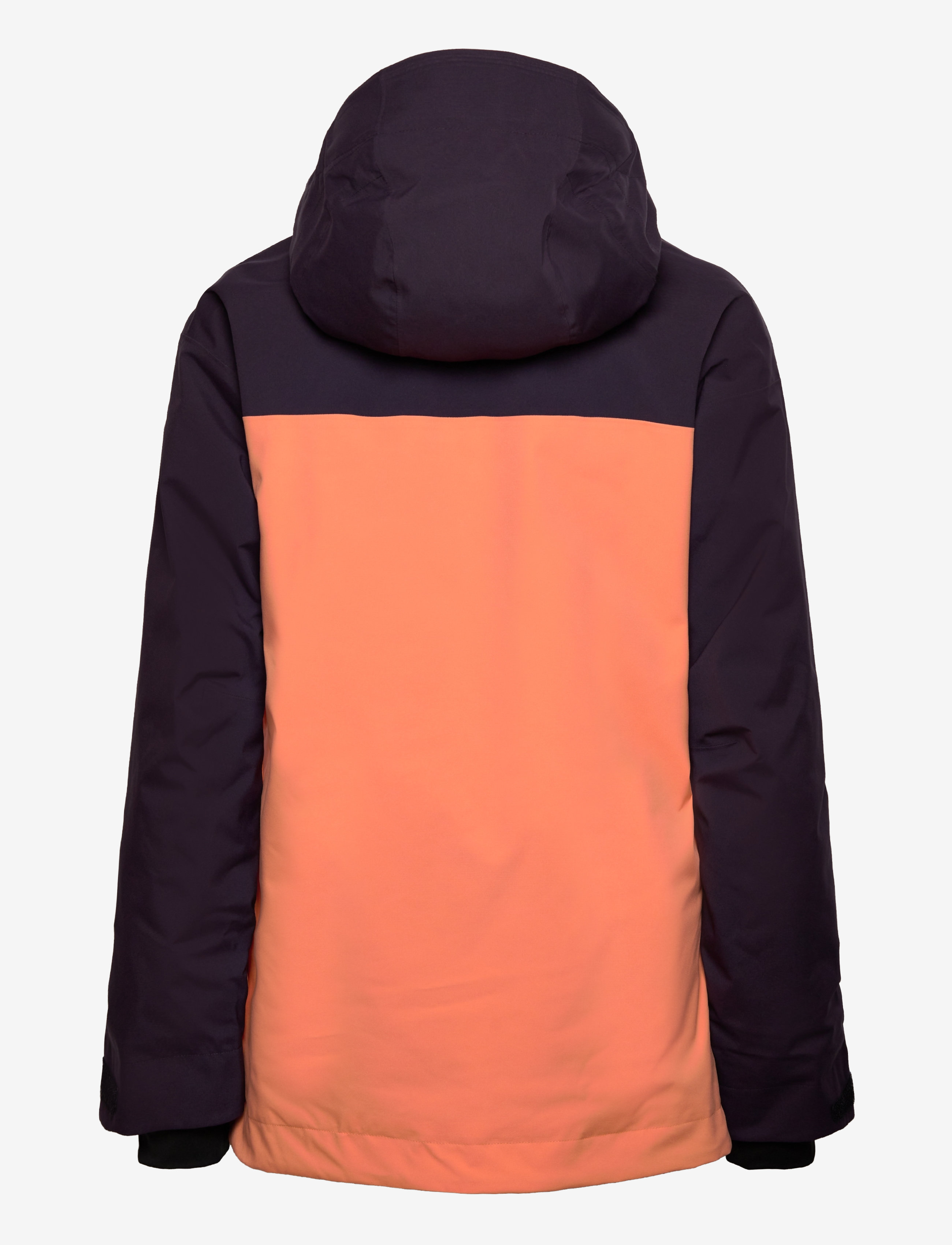 adidas Terrex - W XPR 2L INS J - skijakker - ambtin/aurbla - 1
