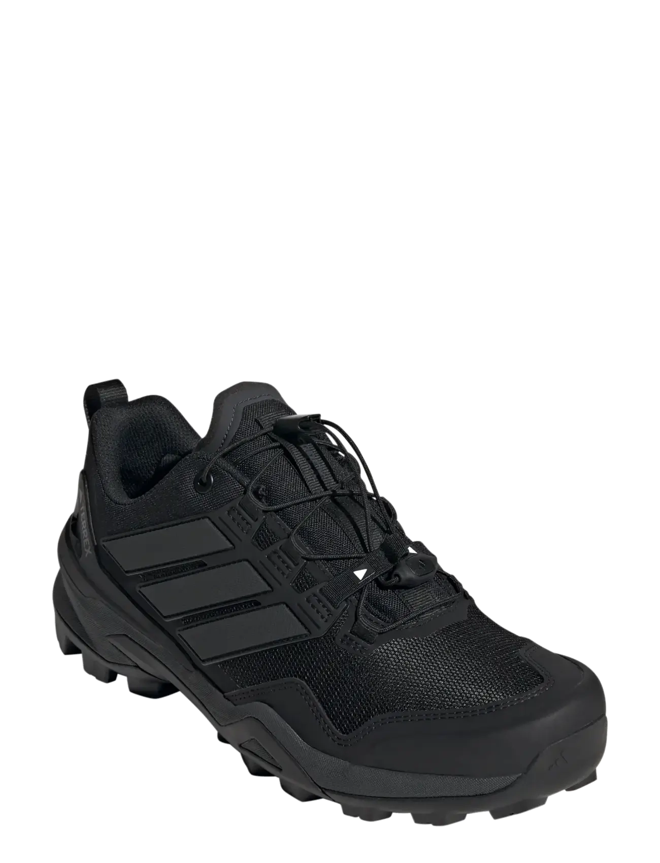 adidas Terrex TERREX SKYCHASER - Schuhe - CBLACK/CBLACK/CARBON / black