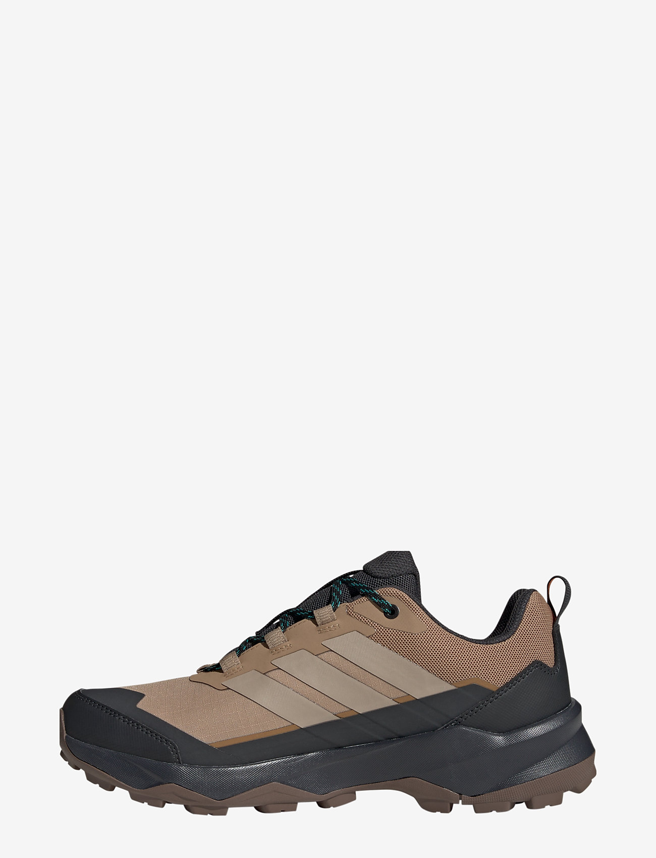 adidas Terrex - TERREX SKYCHASER AX5 GTX - vandringsskor - cardbo/blacar/seimor - 2