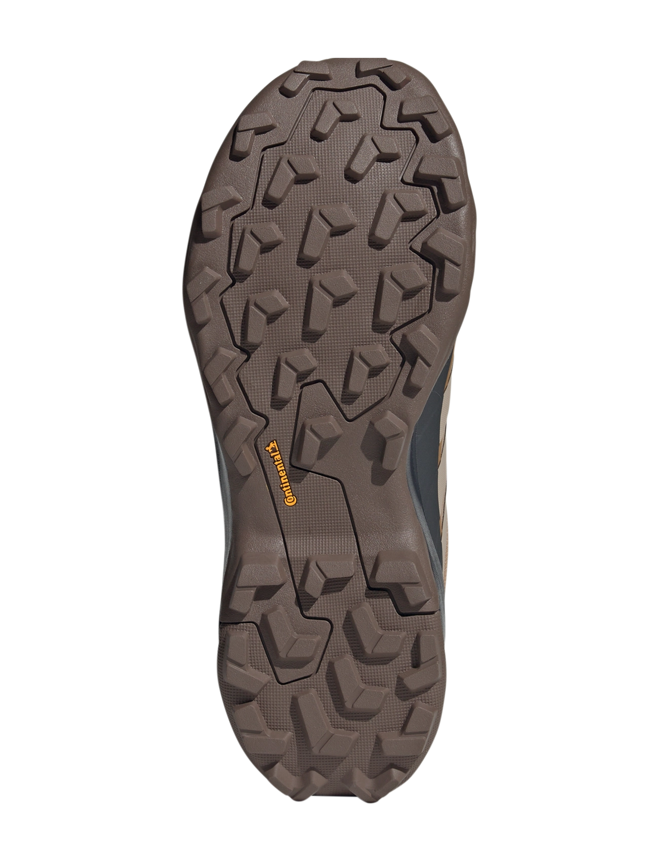 adidas Terrex - TERREX SKYCHASER AX5 GTX - chaussures de randonnée - cardbo/blacar/seimor - 5