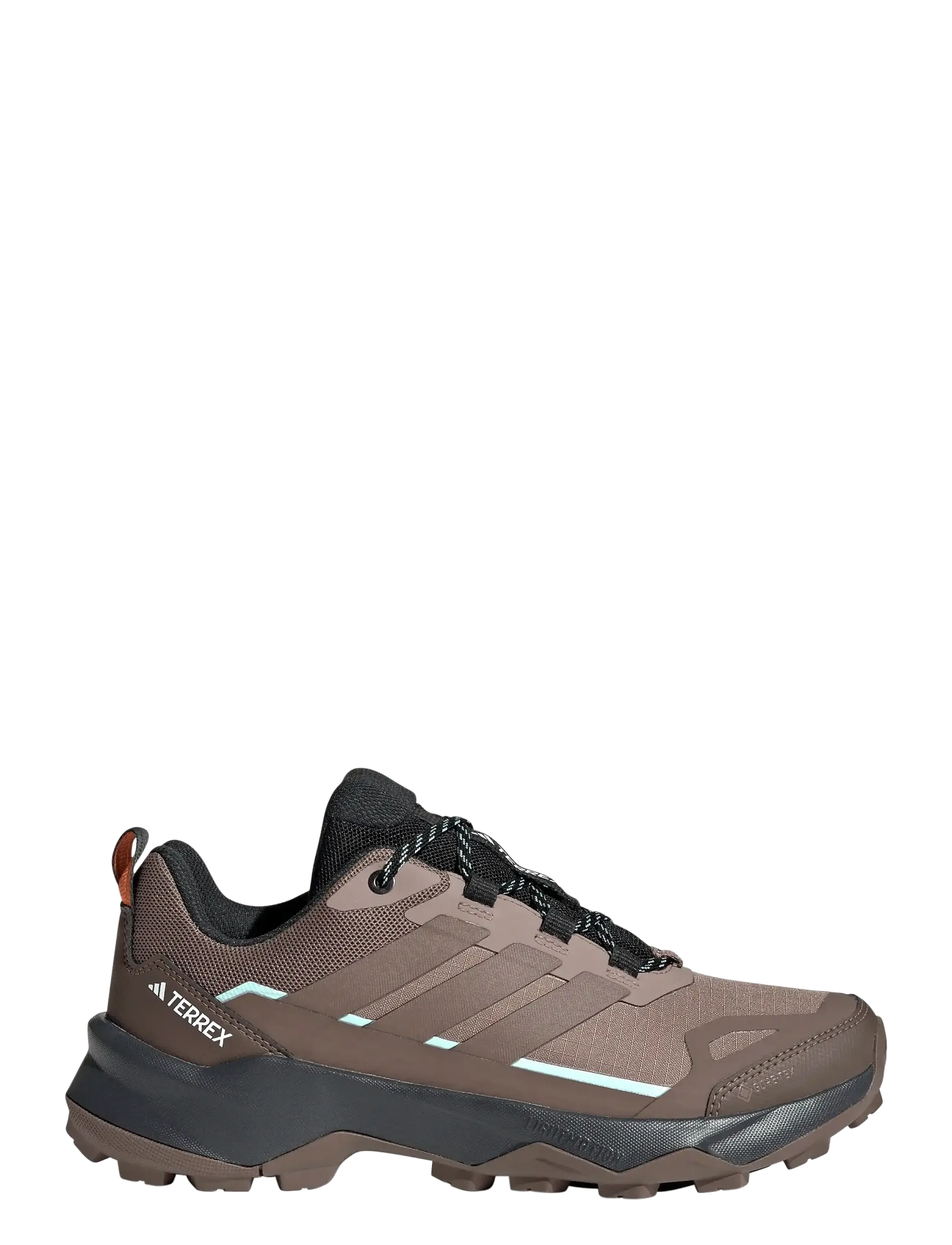 adidas Terrex - TERREX SKYCHASER AX5 GTX W - chaussures de randonnée - trabrn/earstr/seimor - 1