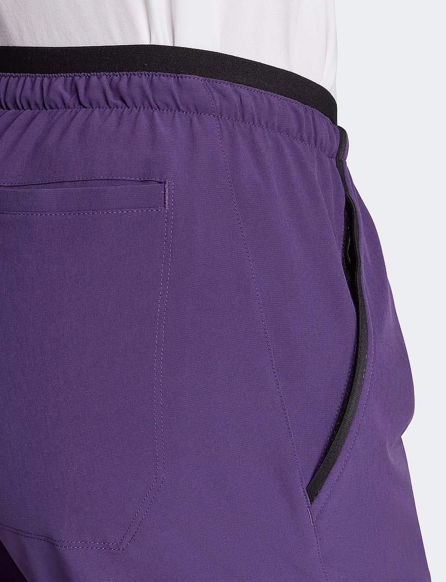 adidas Terrex - W MT LITEFLEX P - outdoor pants - aurplu - 4
