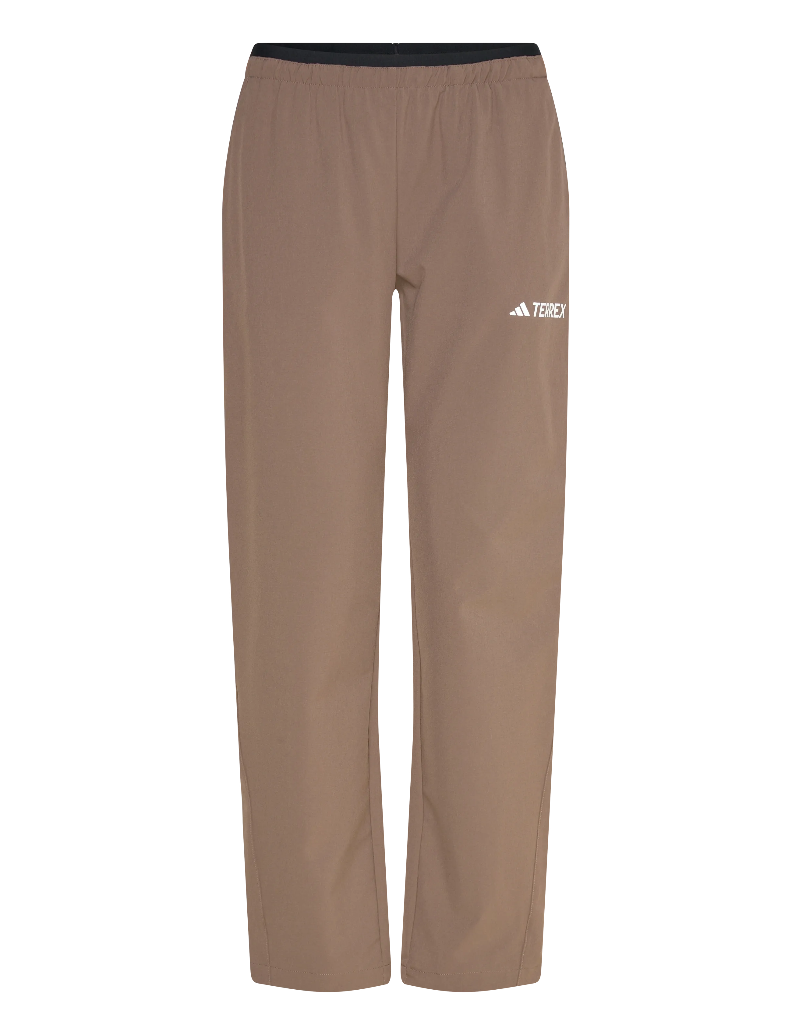 adidas Terrex W MT LITEFLEX P - Outdoorhosen - EARSTR / beige