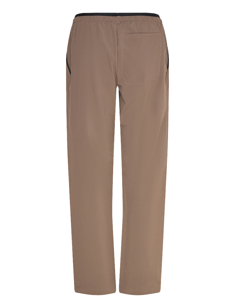 adidas Terrex - W MT LITEFLEX P - outdoorhosen - earstr - 1