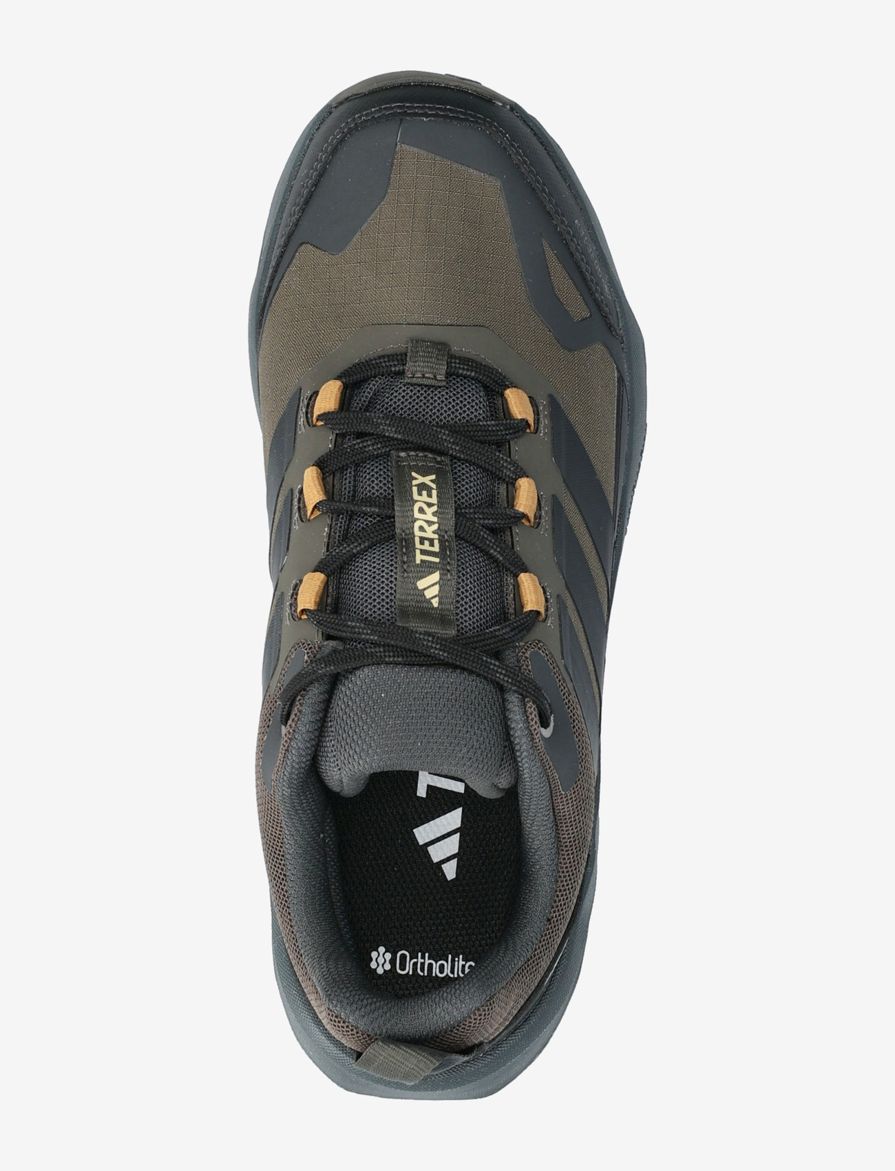 adidas Terrex - TERREX SKYCHASER AX5 GTX - hiking shoes - shaoli/carbon/brostr - 3