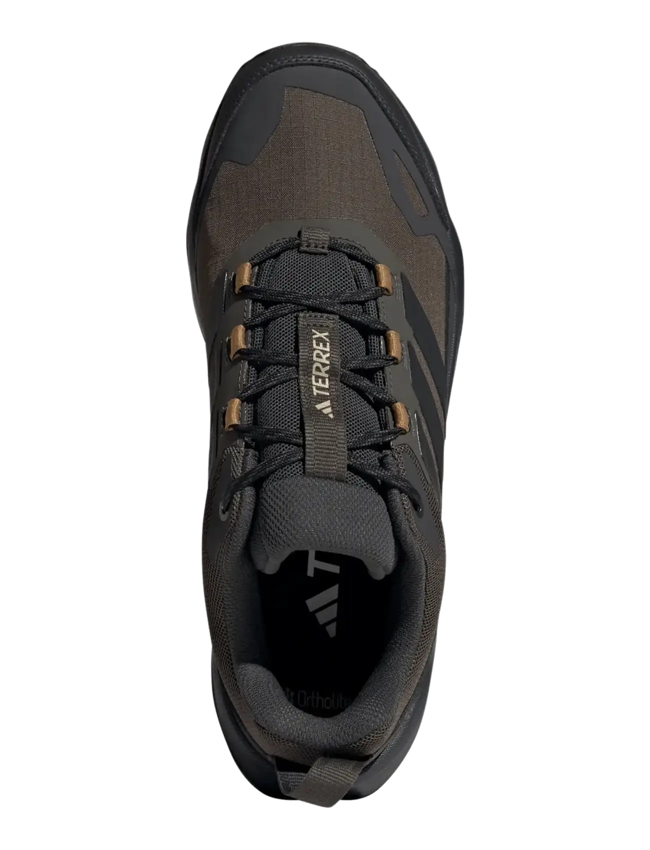 adidas Terrex - TERREX SKYCHASER AX5 GTX - hiking shoes - shaoli/carbon/brostr - 4