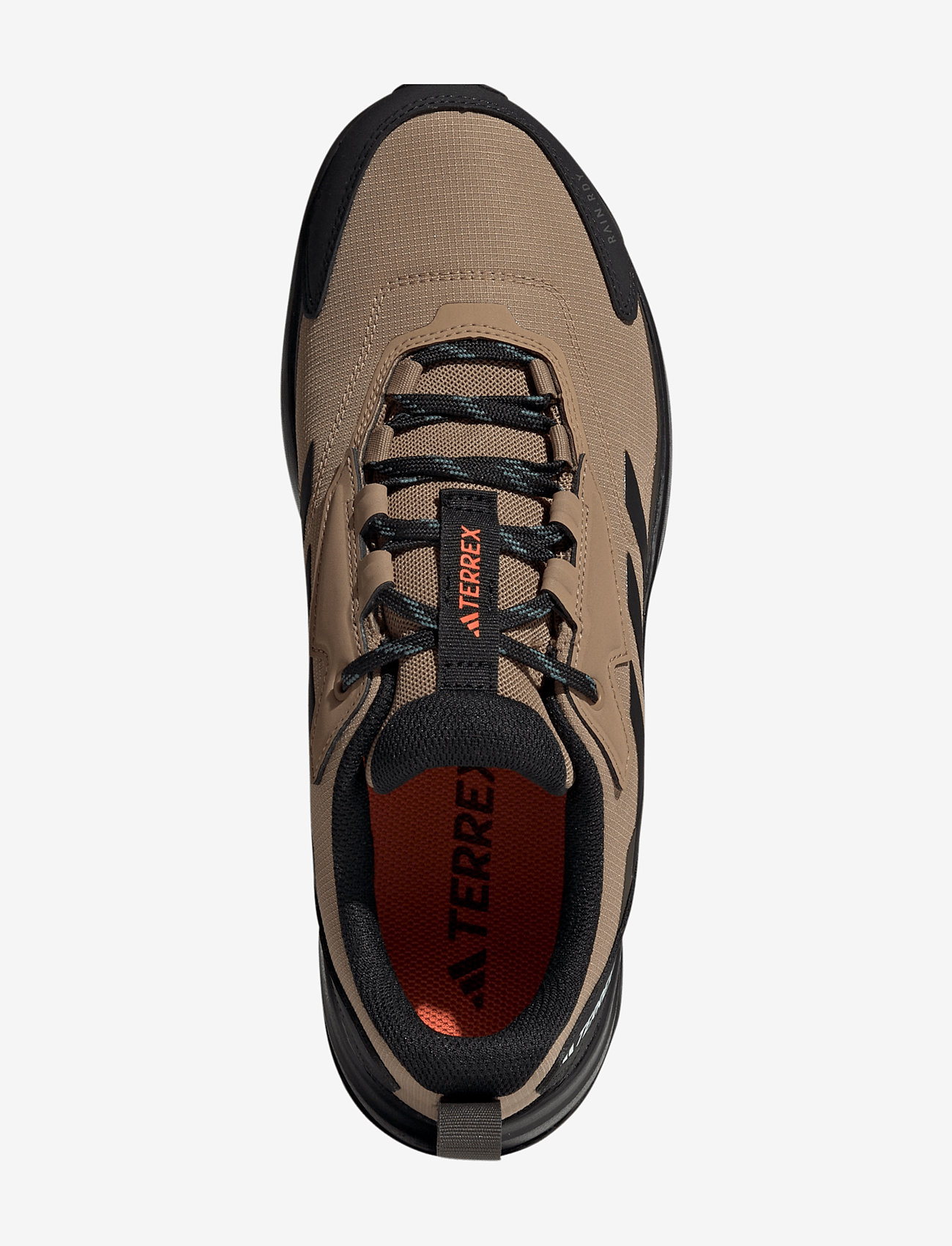 adidas Terrex - TERREX ANYLANDER R.RDY - vandresko - cardbo/cblack/shaoli - 4