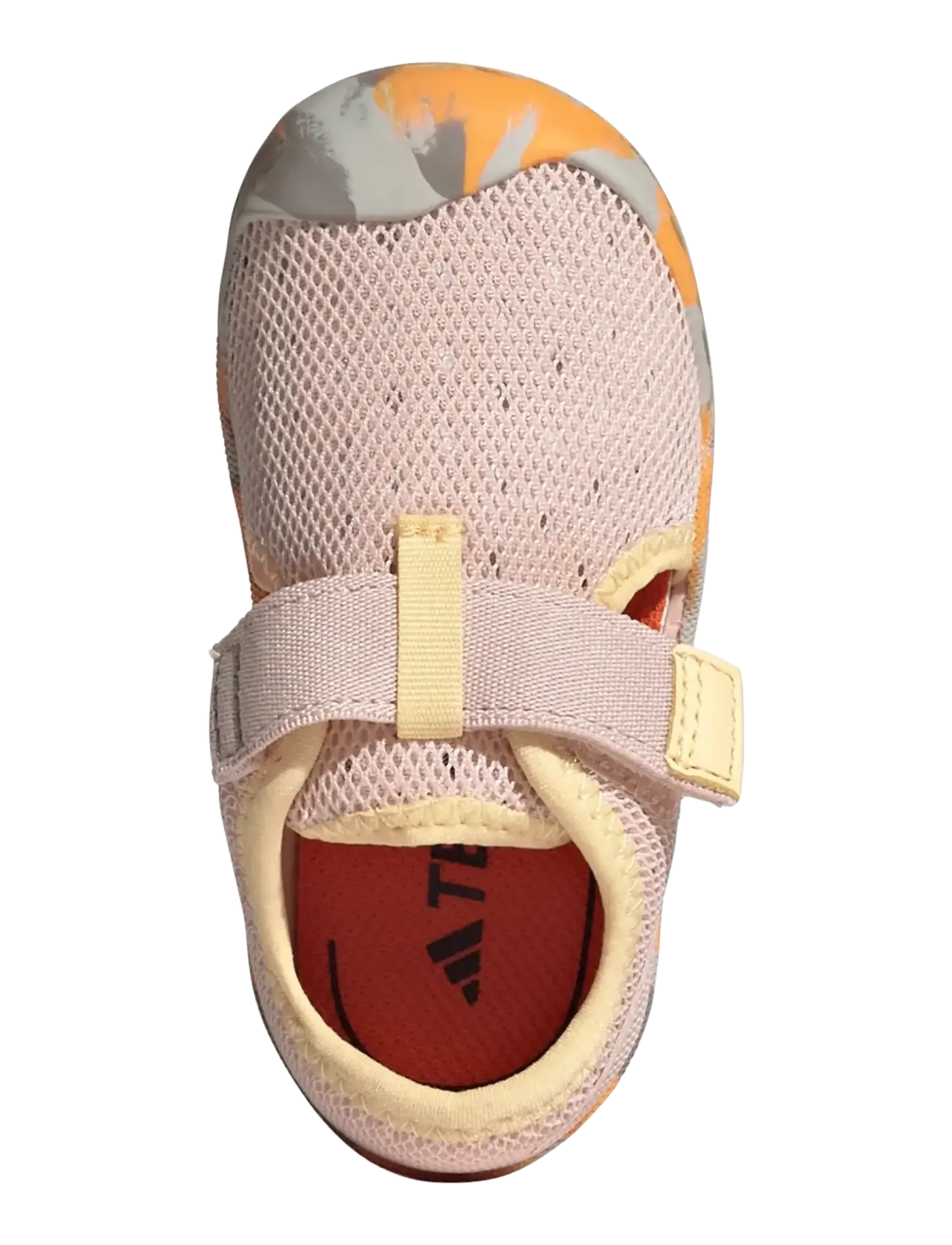 adidas Terrex - TERREX CAPTAIN TOEY I - niedriger schnitt - blupnk/puta/icta - 4