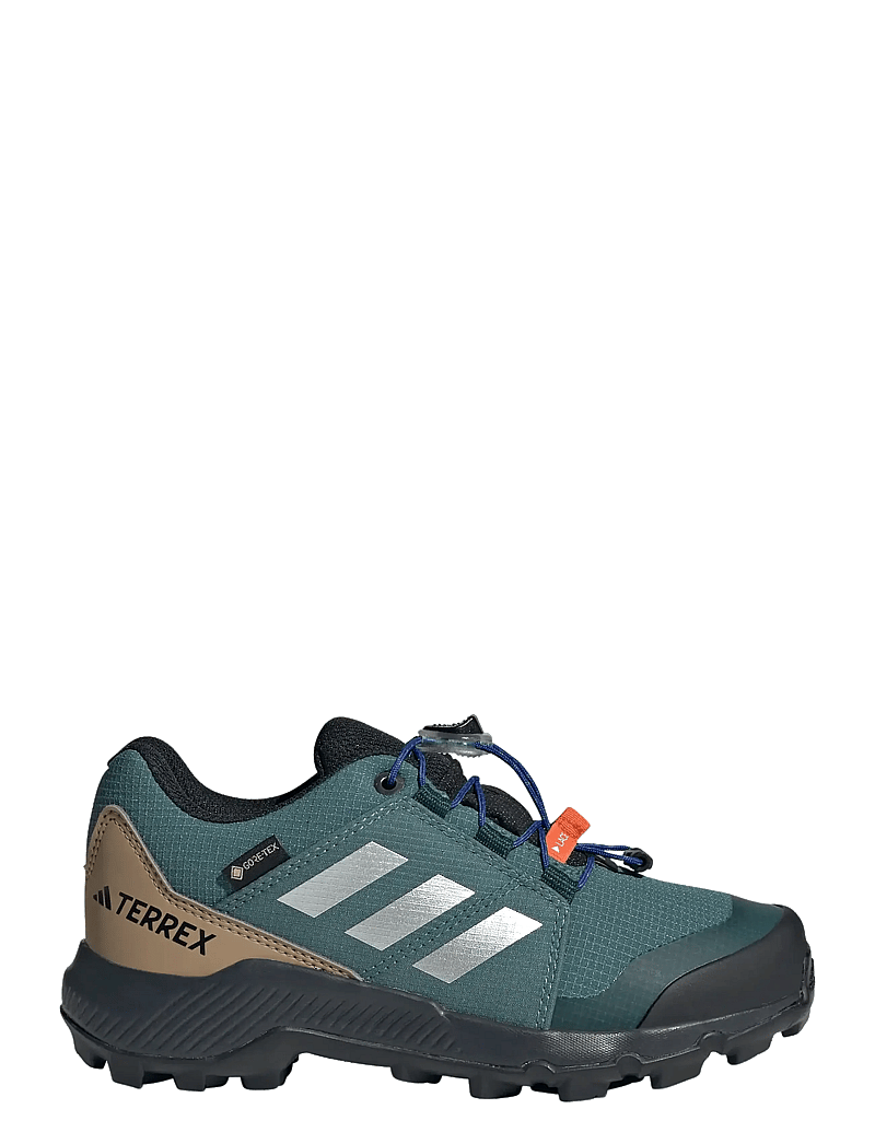 adidas Terrex - TERREX GTX K - wanderschuhe - pretea/silvmt/selubl - 1