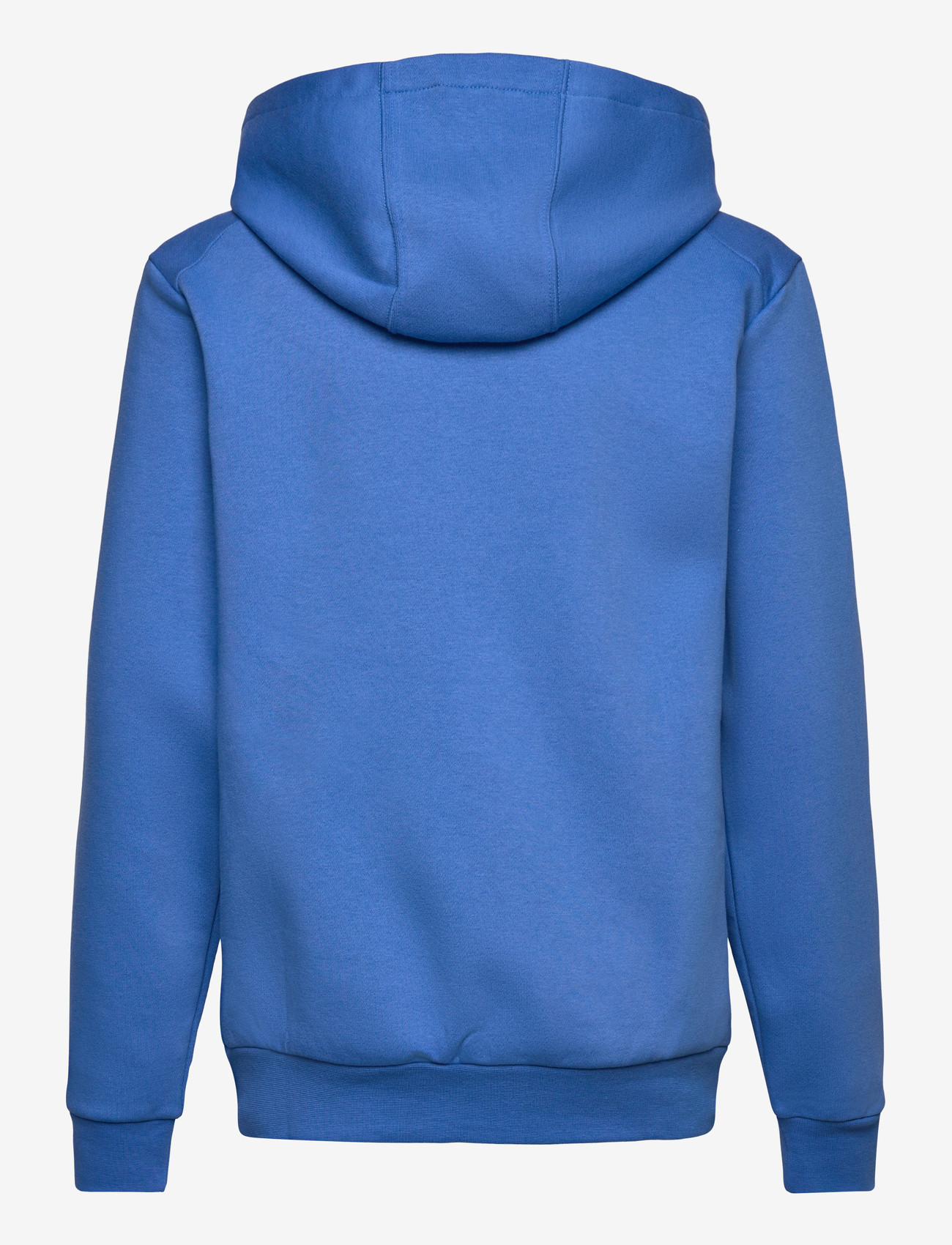 adidas Terrex - K MT LOGO HD - hoodies - rayblu - 1