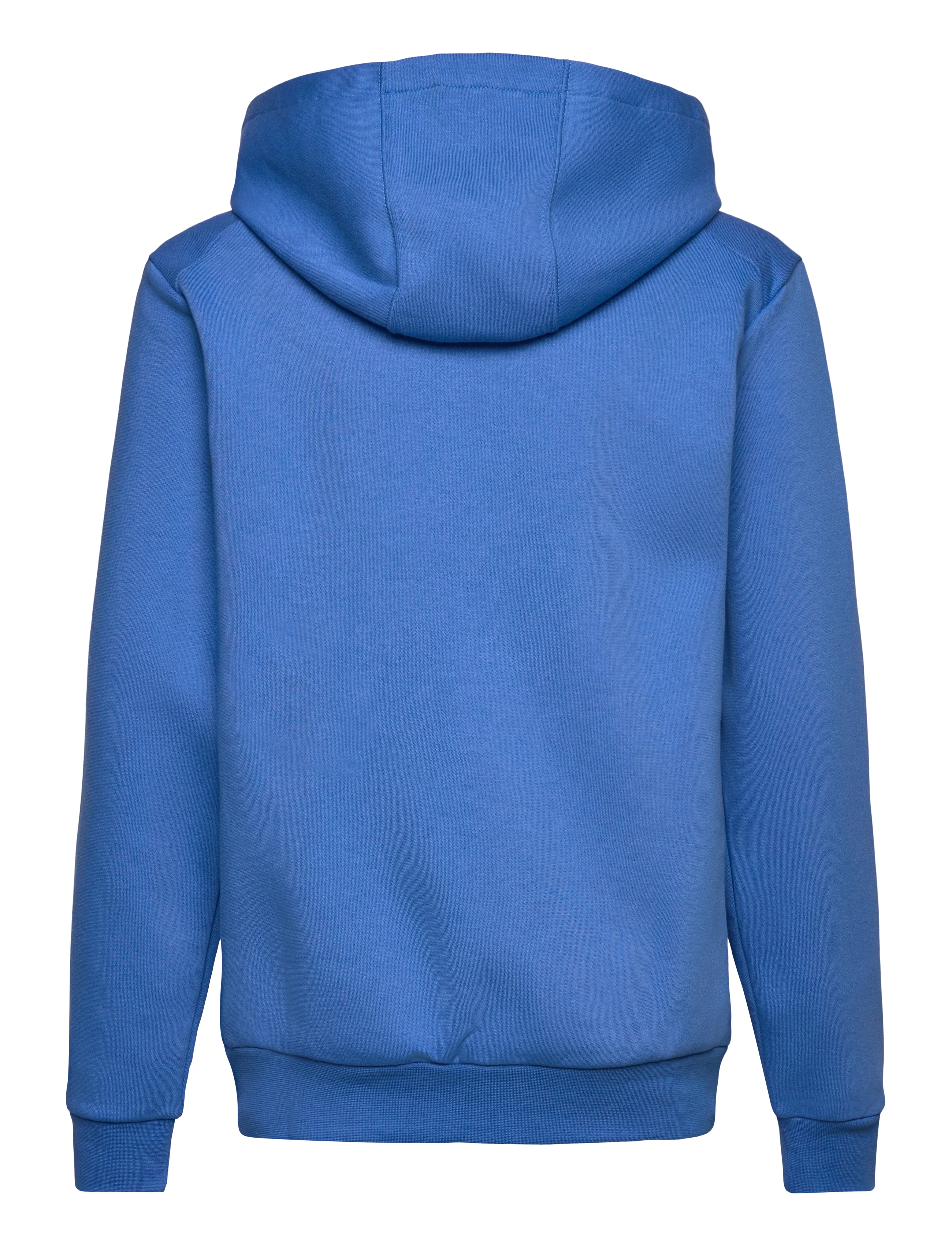 adidas Terrex - K MT LOGO HD - hoodies - rayblu - 1